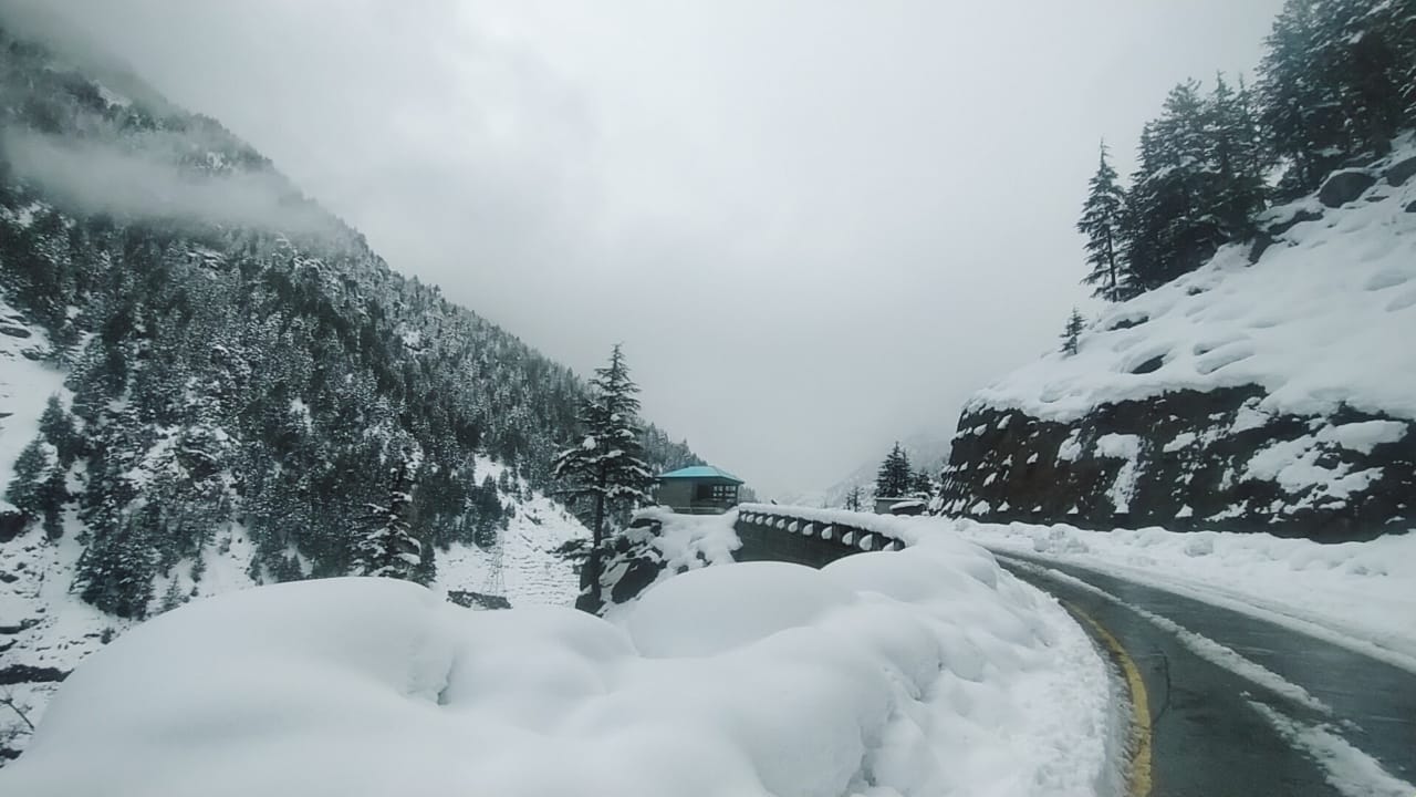 These Beautiful Landscapes Are at Lowari Top District Dir Chitral Road Khyber Pakhtunkhwa Pakistan A Winter Wonderland! (8)