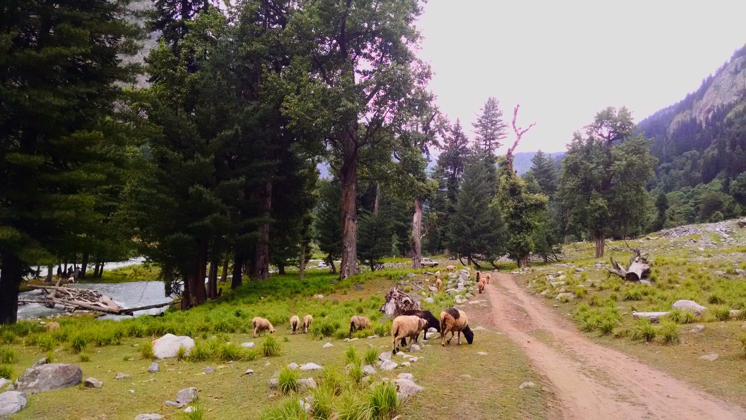 kumrat valley dujanga