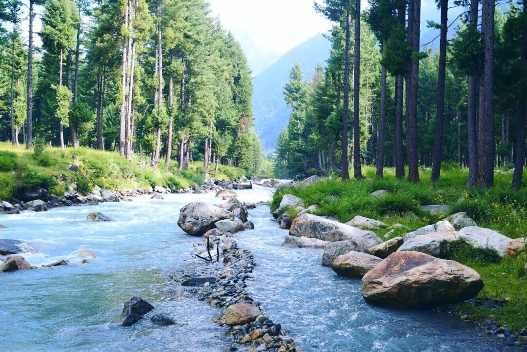 Karachi To Kumrat Valley Tour - Image 10