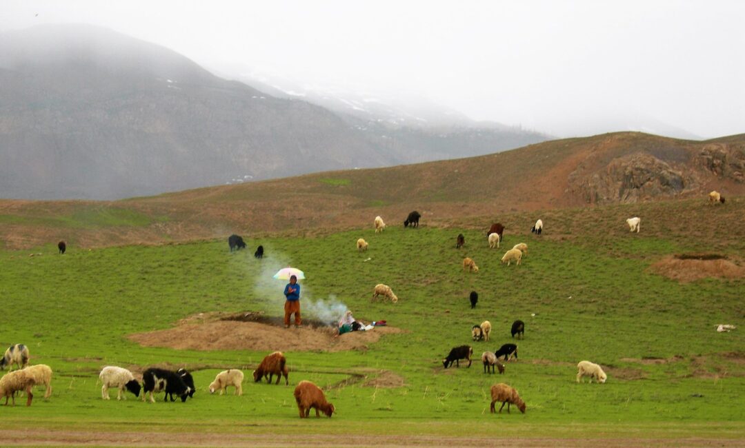 7 Days Paragliding Training Pakistan - Image 3