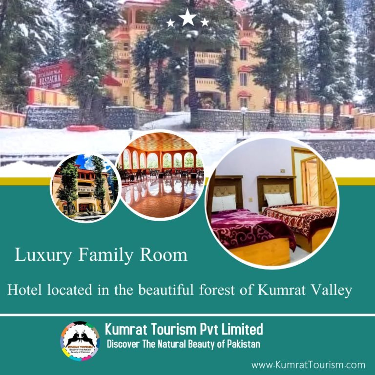 Luxury Family Hotel Room near kumrat valley forest