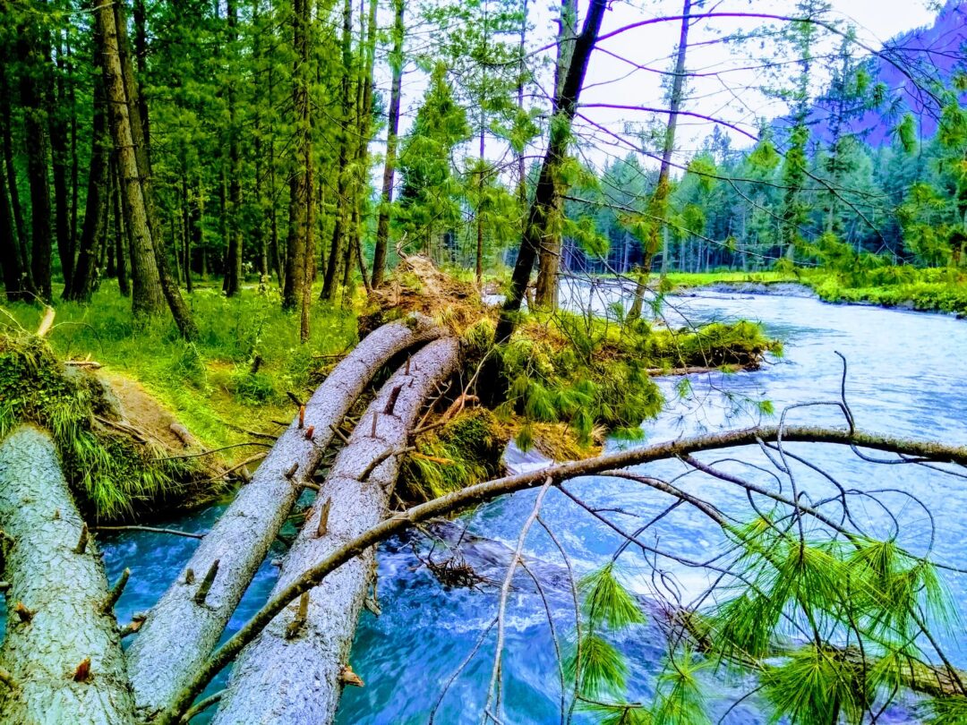 Trekking in Kumrat Valley