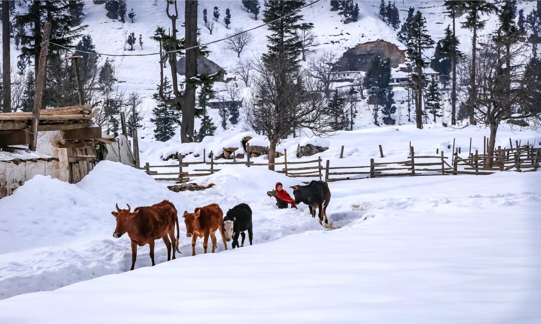 kalam valley snow