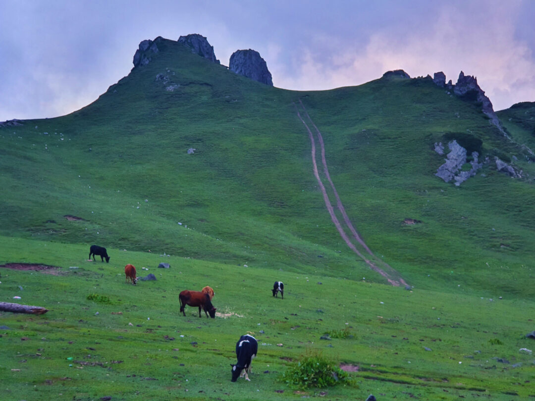 Badgoi Pass