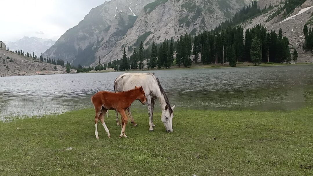 Mahodand Lake