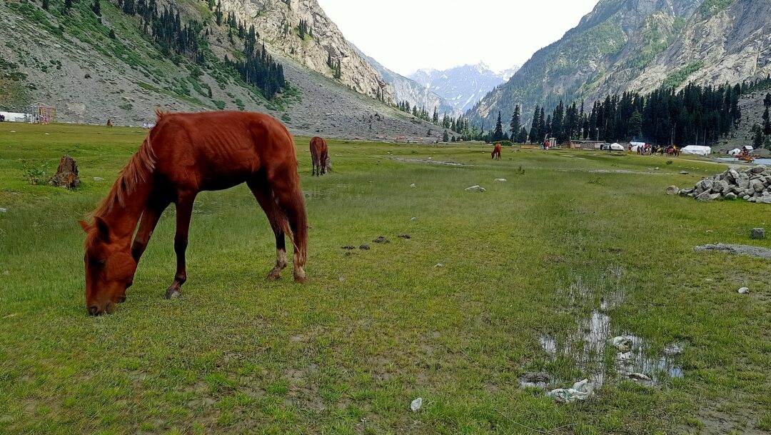 Mahodand Lake Mahodand Lake