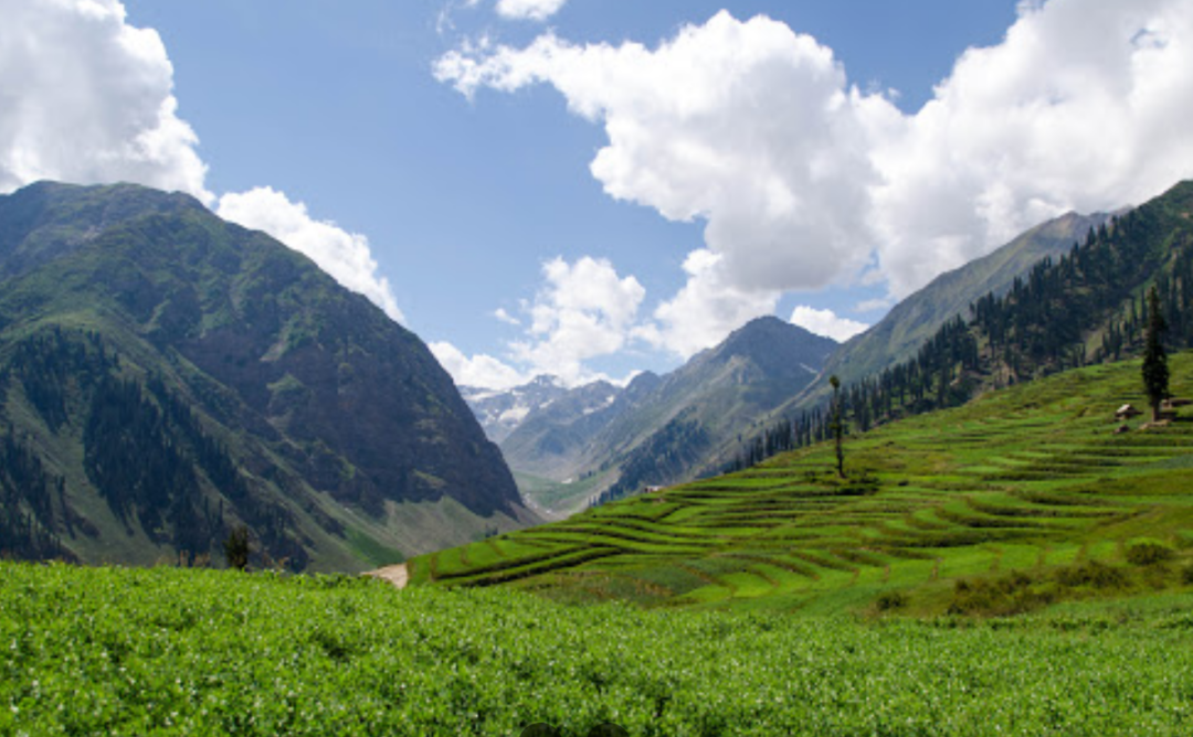 Naran Kaghan Babusar Top Family Tour Package 2 Nights 3 Days (22)