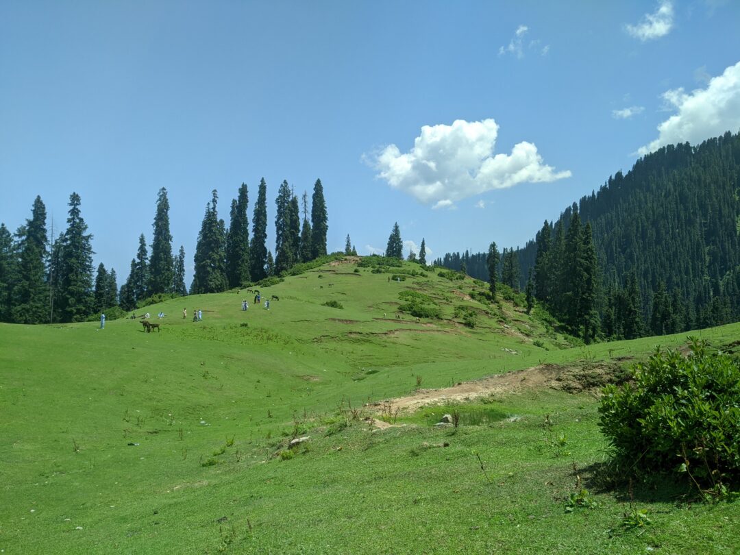 Jarogo Waterfall Swat Valley