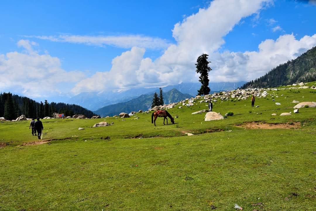 Experience the floral bliss of Jahaz Banda in spring, where vibrant wildflowers cover the alpine meadows. A must-see destination for nature lovers in Pakistan.