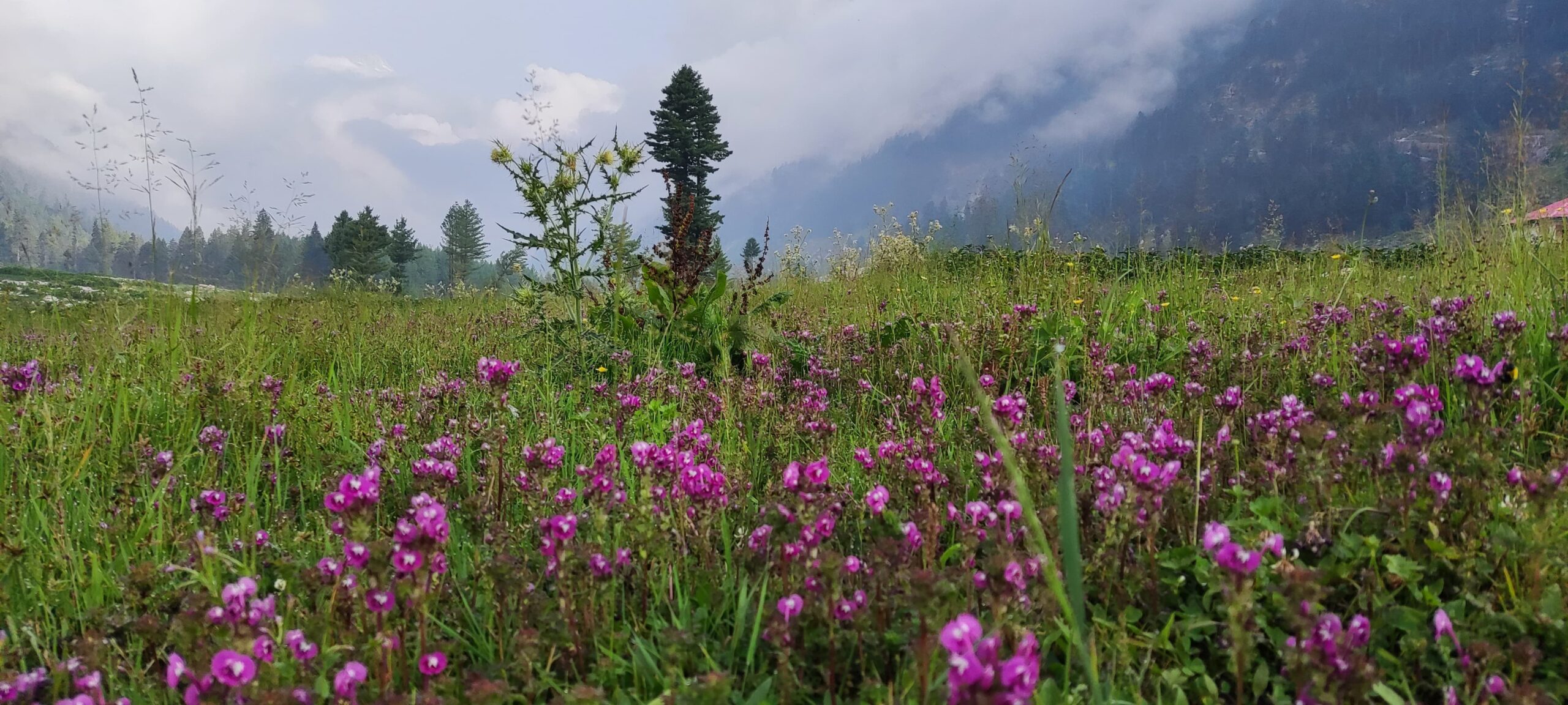 Photography Paradise Discover the Beauty of Kumrat Valley