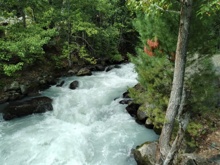 🌊 Crystal Clear Waters of Kumrat Valley Refreshing Fun Awaits!