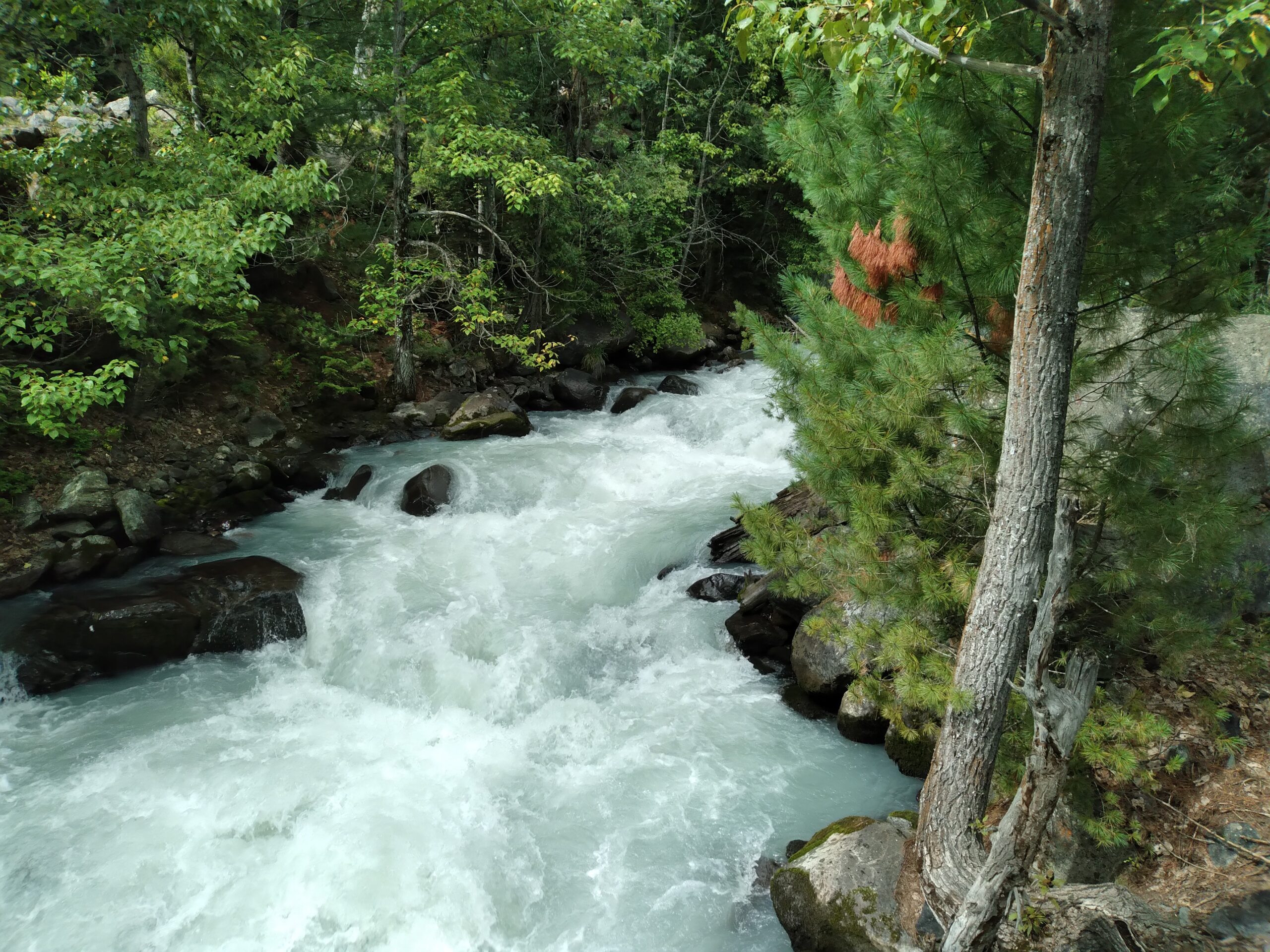 🌊 Crystal Clear Waters of Kumrat Valley Refreshing Fun Awaits!