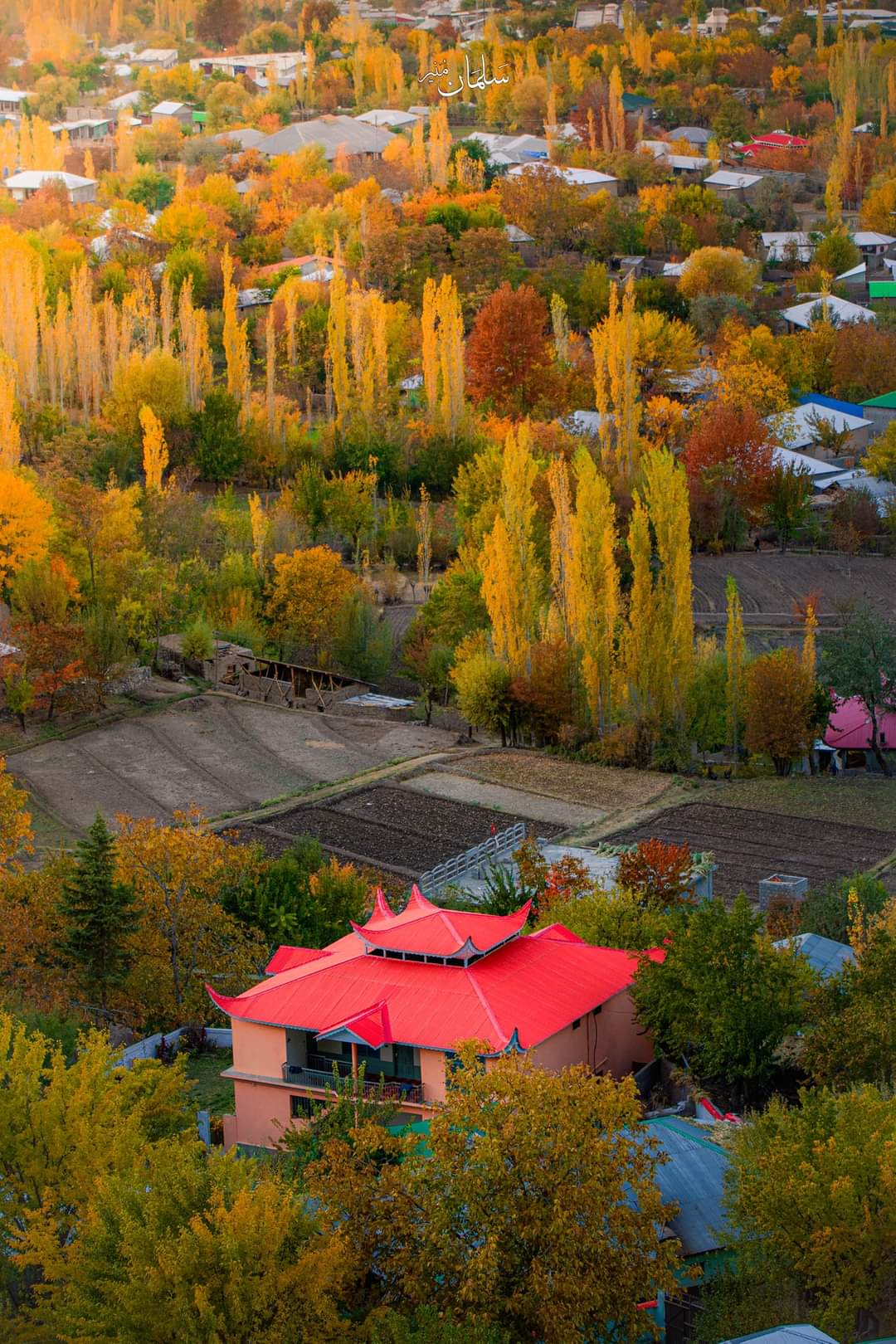 Chitral Valley, nestled in the majestic Hindu Kush mountains