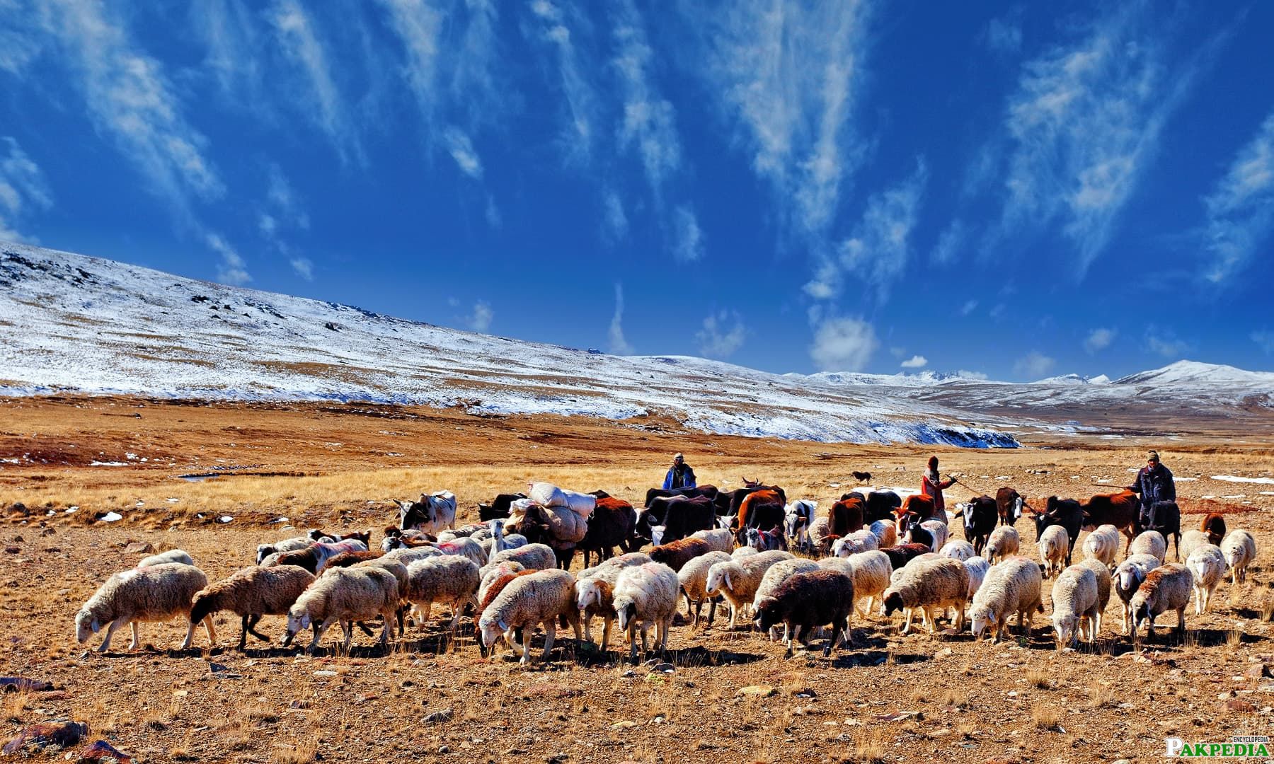 Deosai National Park