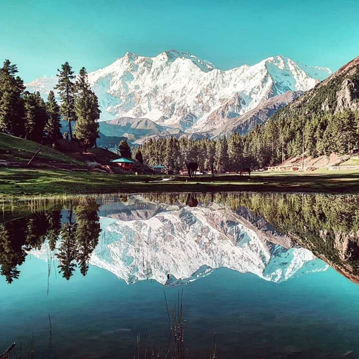 Fairy Meadows