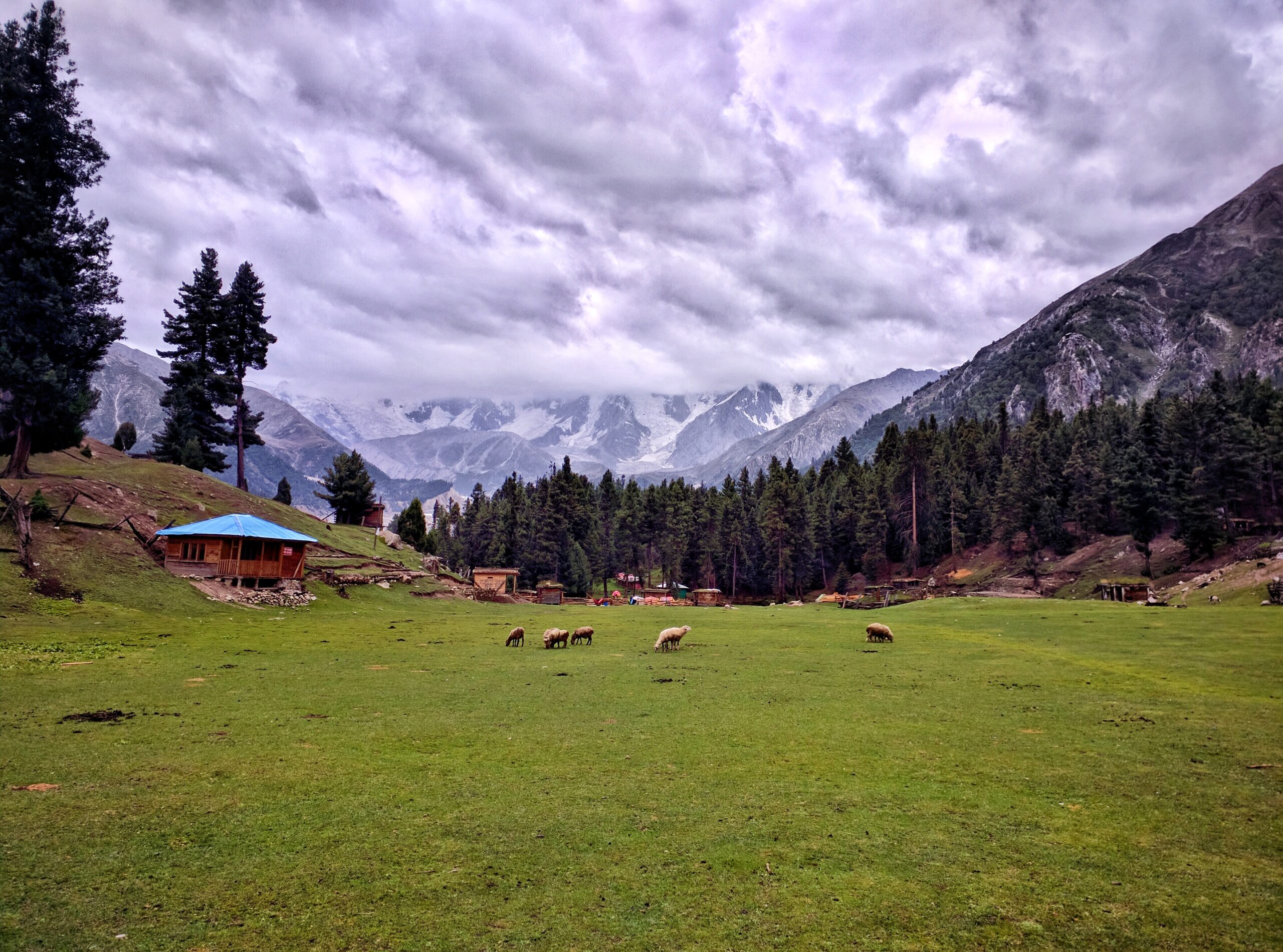 Fairy Meadows