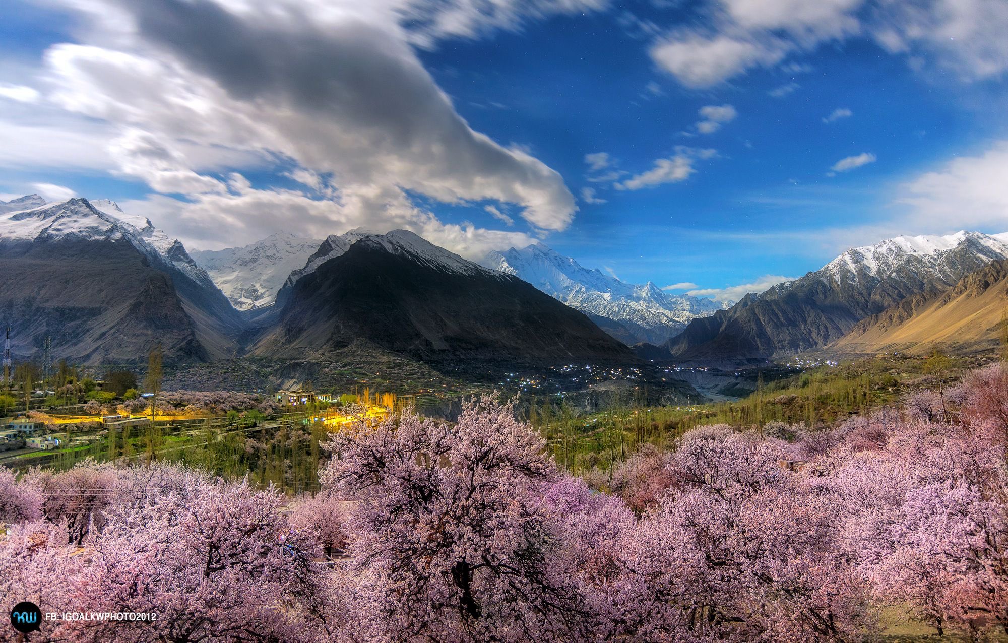 🌸 Blossoms in Hunza