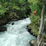 Discover Kumrat Valley Nature’s Untouched Paradise in Pakistan