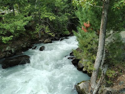 Discover Kumrat Valley Nature’s Untouched Paradise in Pakistan