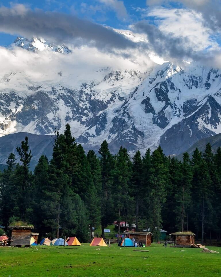 Fairy Meadows – A Heavenly Escape at the Base of Nanga Parbat