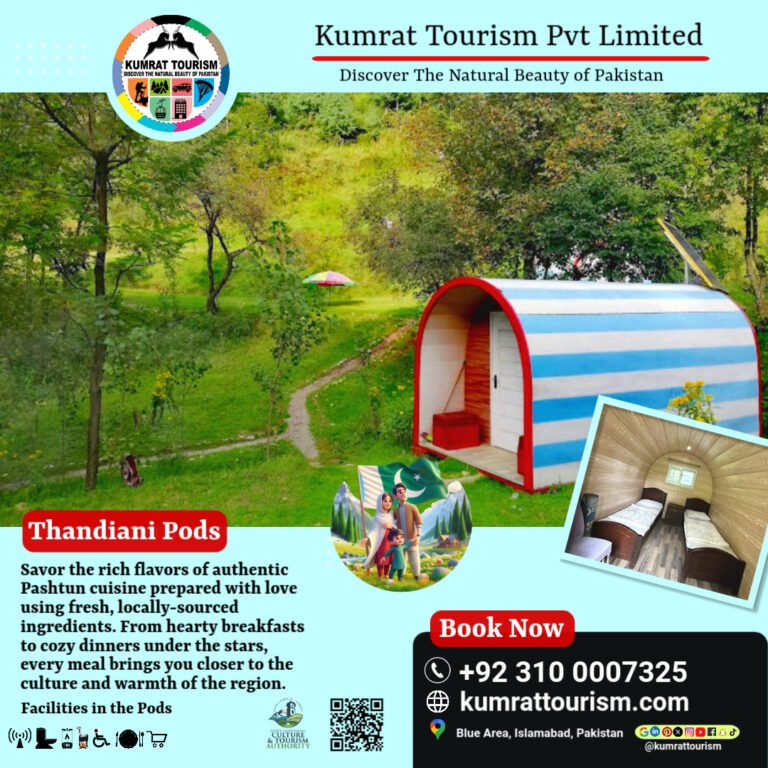🌲 Thandiani Pods – Luxurious Eco-Friendly Stay in Abbottabad’s Forests