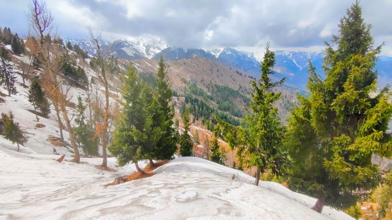 Sangar Top Meadows Dir Upper