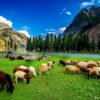 3-Day Honeymoon Tour Islamabad to Malam Jabba, Kalam Valley, and Mahudand Lake