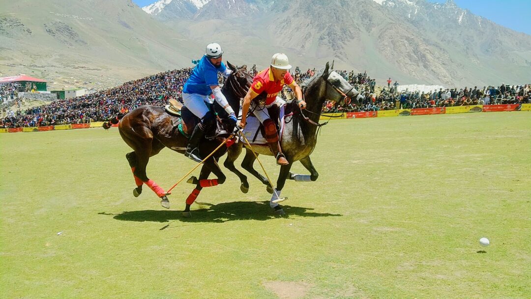 SHANDUR POLO