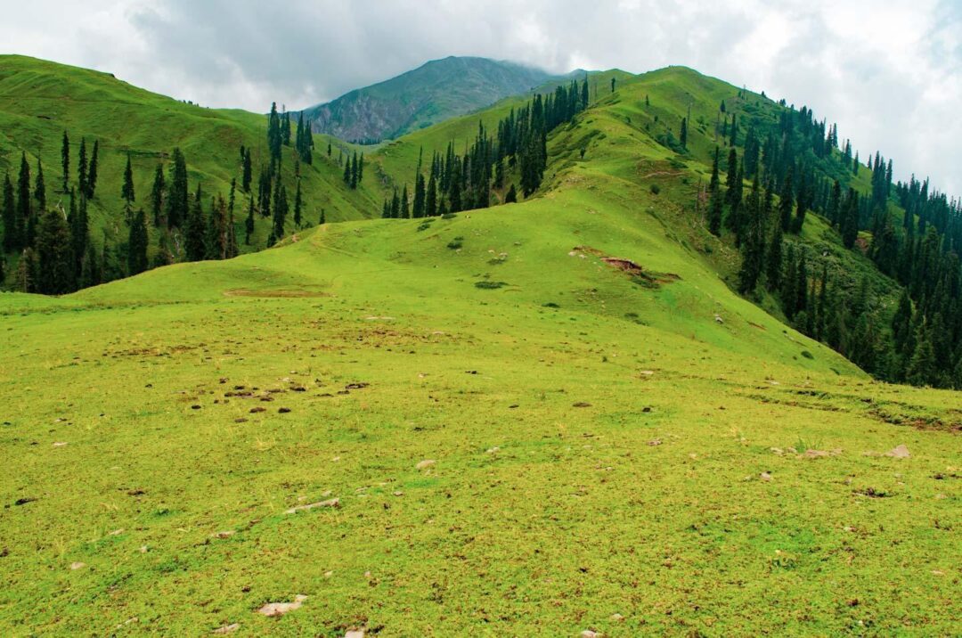 Shogran Family Private Tour Package