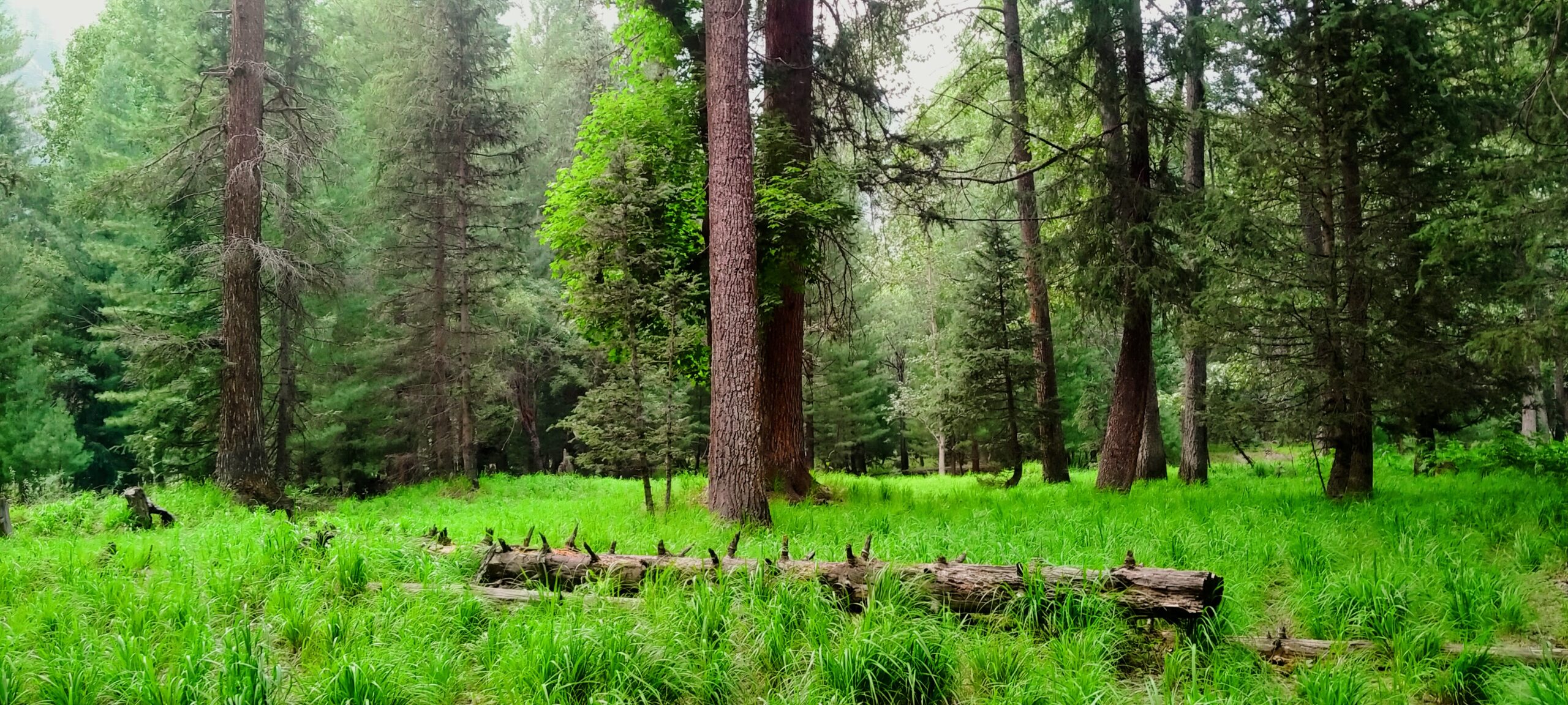 Kamrat Valley memories